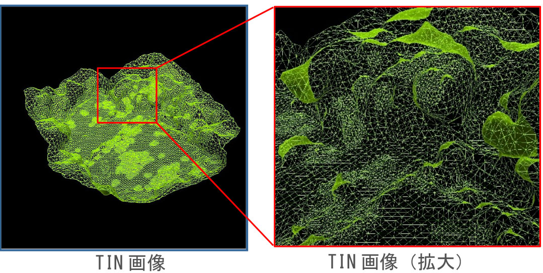 TIN画像